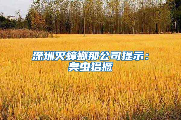 深圳灭蟑螂那公司提示：臭虫猖撅