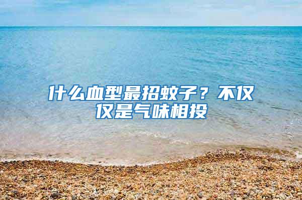 什么血型最招蚊子？不仅仅是气味相投