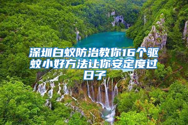 深圳白蚁防治教你16个驱蚊小好方法让你安定度过日子