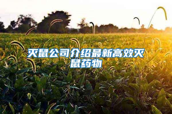 灭鼠公司介绍最新高效灭鼠药物