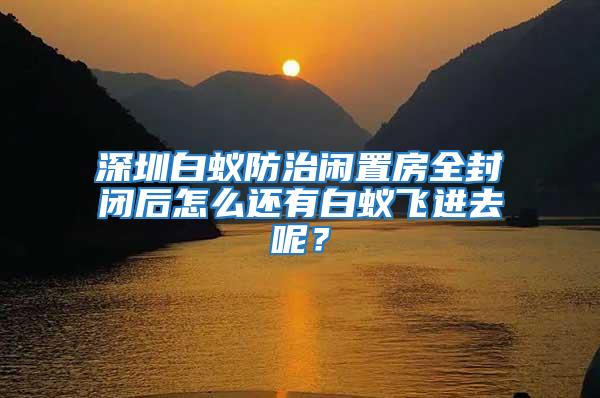 深圳白蚁防治闲置房全封闭后怎么还有白蚁飞进去呢？