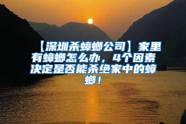 【深圳杀蟑螂公司】家里有蟑螂怎么办，4个因素决定是否能杀绝家中的蟑螂！