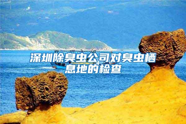 深圳除臭虫公司对臭虫栖息地的检查