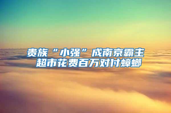 贵族“小强”成南京霸主 超市花费百万对付蟑螂