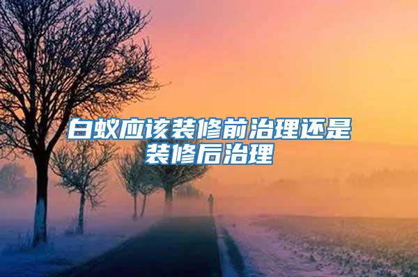 白蚁应该装修前治理还是装修后治理