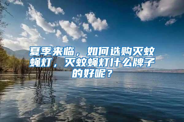 夏季来临，如何选购灭蚊蝇灯，灭蚊蝇灯什么牌子的好呢？