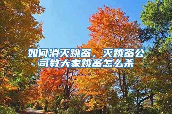 如何消灭跳蚤，灭跳蚤公司教大家跳蚤怎么杀