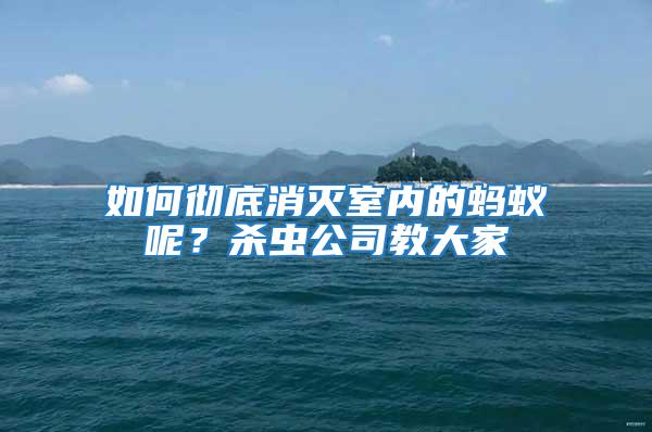 如何彻底消灭室内的蚂蚁呢？杀虫公司教大家