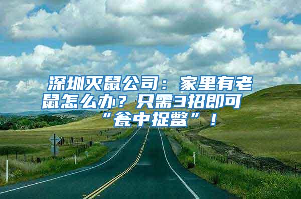 深圳灭鼠公司：家里有老鼠怎么办？只需3招即可“瓮中捉鳖”！