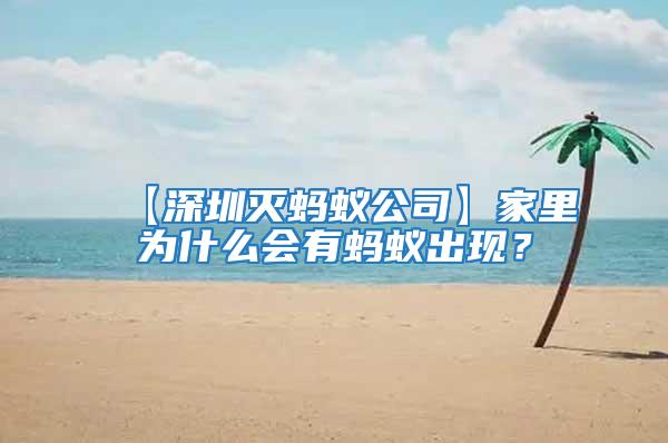 【深圳灭蚂蚁公司】家里为什么会有蚂蚁出现？