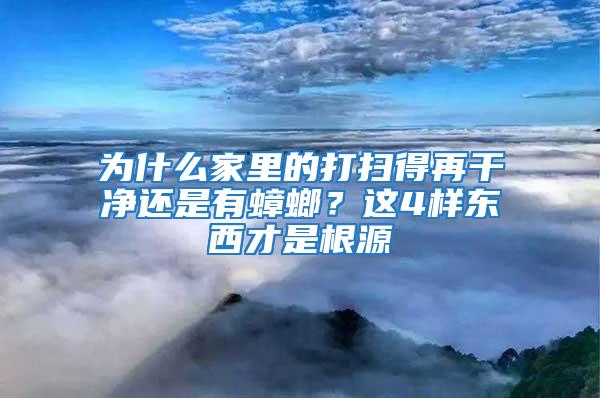 为什么家里的打扫得再干净还是有蟑螂？这4样东西才是根源