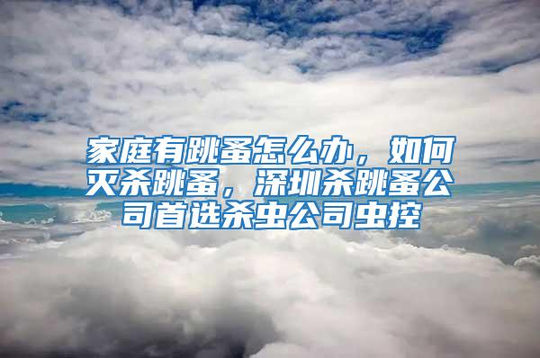 家庭有跳蚤怎么办，如何灭杀跳蚤，深圳杀跳蚤公司首选杀虫公司虫控