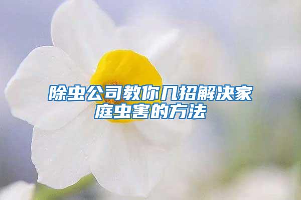 除虫公司教你几招解决家庭虫害的方法