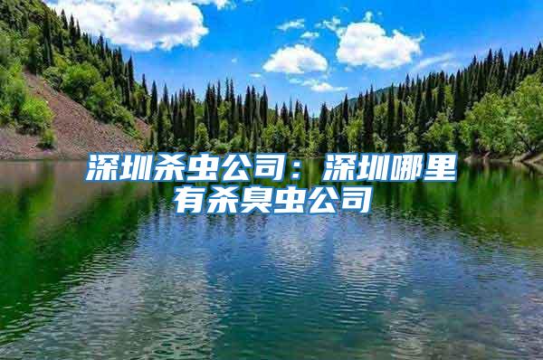 深圳杀虫公司：深圳哪里有杀臭虫公司