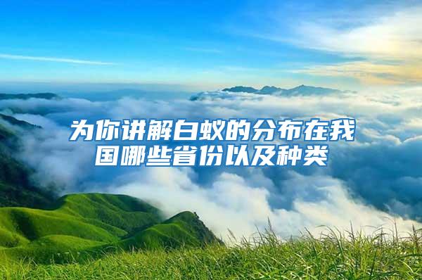 为你讲解白蚁的分布在我国哪些省份以及种类