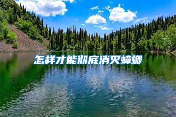 怎样才能彻底消灭蟑螂