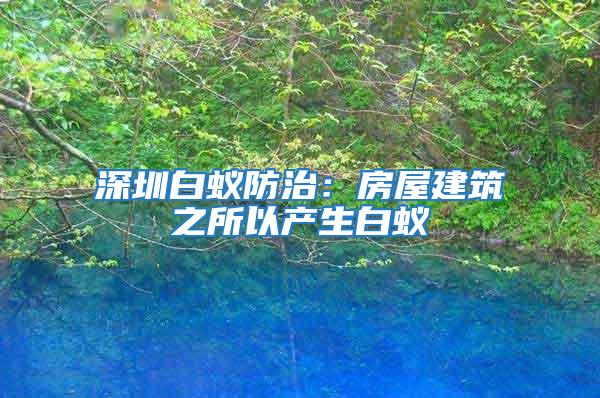 深圳白蚁防治：房屋建筑之所以产生白蚁