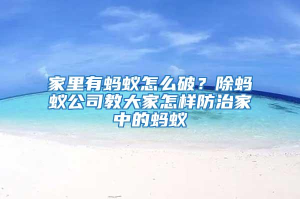 家里有蚂蚁怎么破？除蚂蚁公司教大家怎样防治家中的蚂蚁