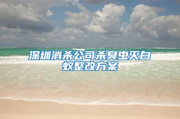 深圳消杀公司杀臭虫灭白蚁整改方案