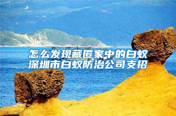 怎么发现藏匿家中的白蚁深圳市白蚁防治公司支招