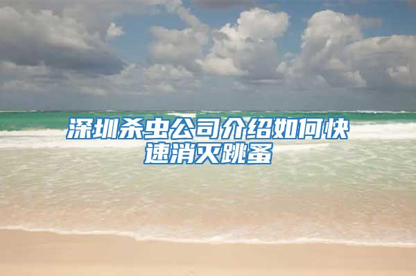 深圳杀虫公司介绍如何快速消灭跳蚤