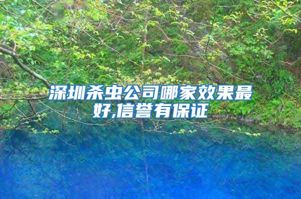 深圳杀虫公司哪家效果最好,信誉有保证