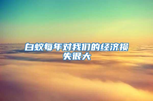 白蚁每年对我们的经济损失很大