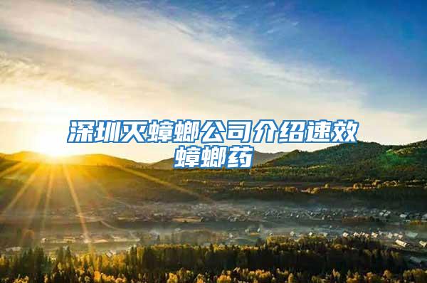 深圳灭蟑螂公司介绍速效蟑螂药