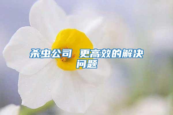 杀虫公司 更高效的解决问题