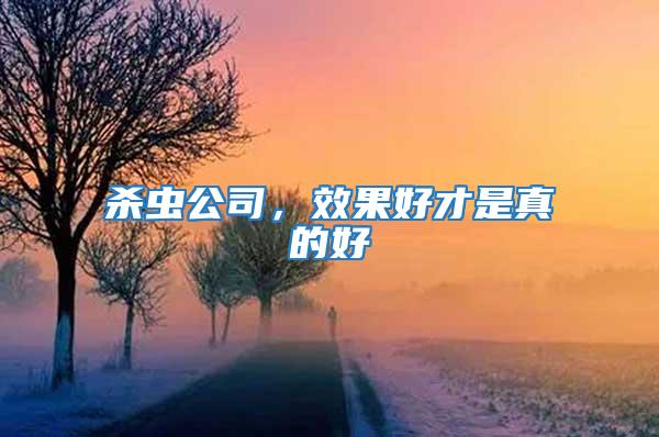 杀虫公司，效果好才是真的好