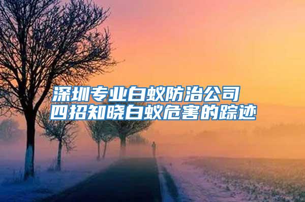 深圳专业白蚁防治公司 四招知晓白蚁危害的踪迹