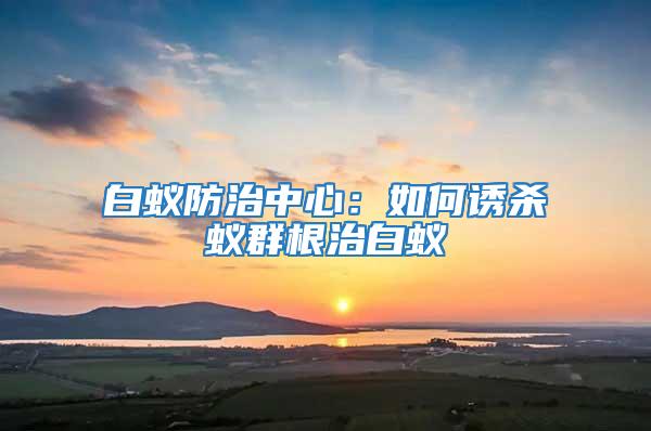 白蚁防治中心：如何诱杀蚁群根治白蚁