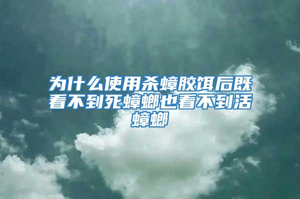 为什么使用杀蟑胶饵后既看不到死蟑螂也看不到活蟑螂