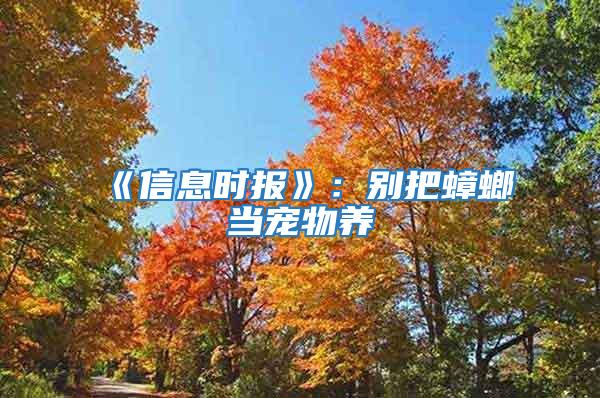 《信息时报》：别把蟑螂当宠物养