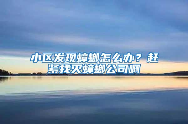 小区发现蟑螂怎么办？赶紧找灭蟑螂公司啊