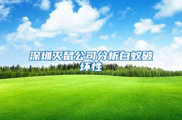 深圳灭鼠公司分析白蚁破坏性