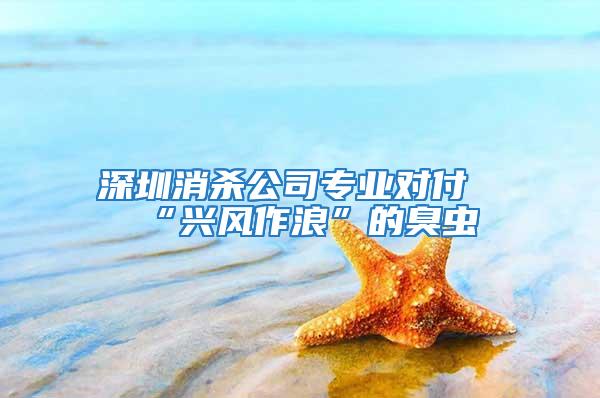 深圳消杀公司专业对付“兴风作浪”的臭虫