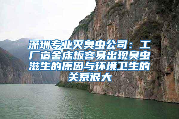 深圳专业灭臭虫公司：工厂宿舍床板容易出现臭虫滋生的原因与环境卫生的关系很大