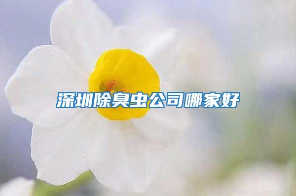 深圳除臭虫公司哪家好