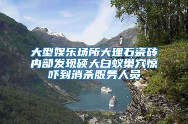 大型娱乐场所大理石瓷砖内部发现硕大白蚁巢穴惊吓到消杀服务人员