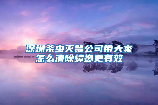 深圳杀虫灭鼠公司带大家怎么清除蟑螂更有效