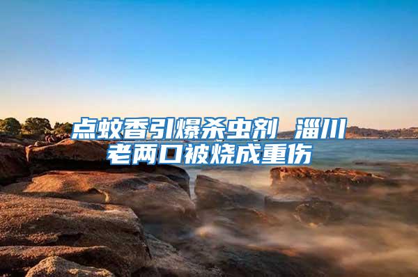 点蚊香引爆杀虫剂 淄川老两口被烧成重伤