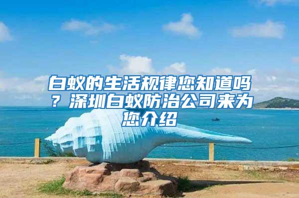 白蚁的生活规律您知道吗？深圳白蚁防治公司来为您介绍