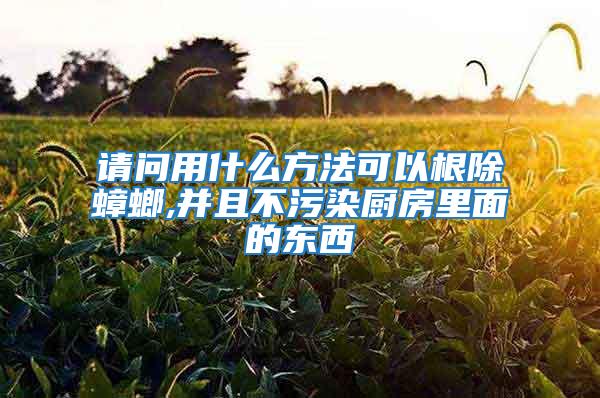 请问用什么方法可以根除蟑螂,并且不污染厨房里面的东西