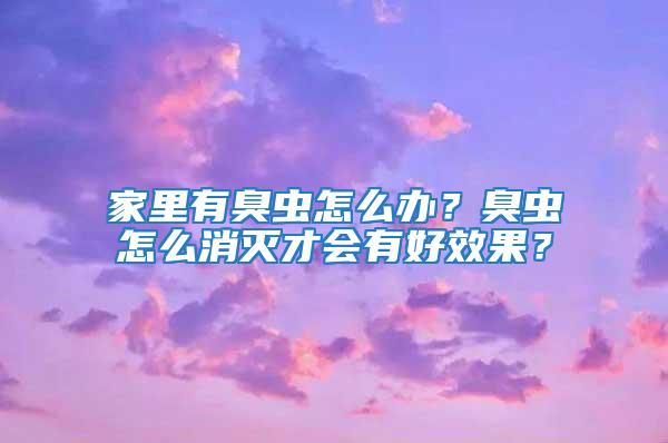 家里有臭虫怎么办？臭虫怎么消灭才会有好效果？