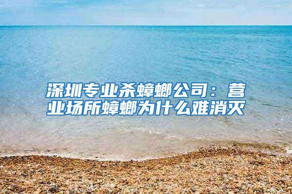 深圳专业杀蟑螂公司：营业场所蟑螂为什么难消灭