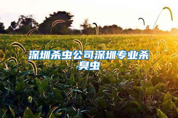 深圳杀虫公司深圳专业杀臭虫