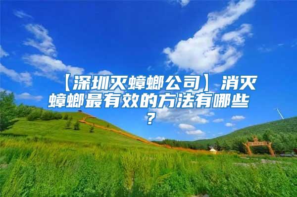 【深圳灭蟑螂公司】消灭蟑螂最有效的方法有哪些？