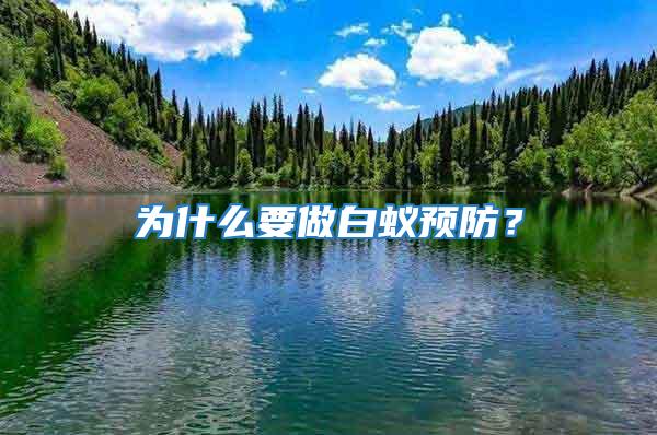 为什么要做白蚁预防？