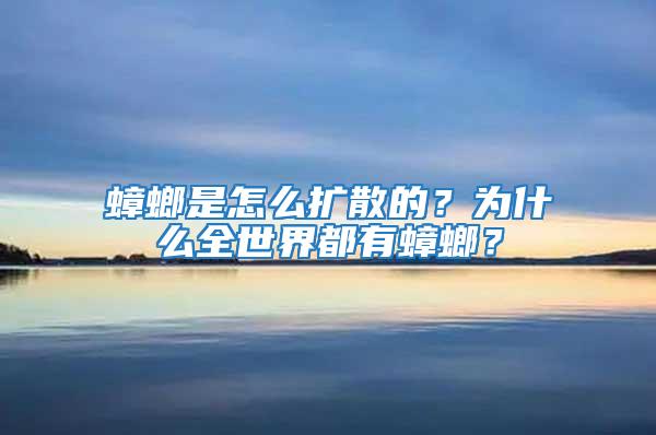 蟑螂是怎么扩散的？为什么全世界都有蟑螂？